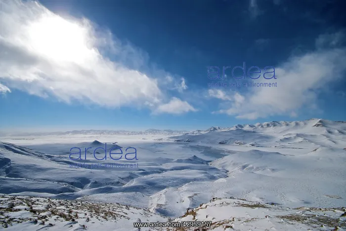 : Gansu Mountains 3700 meters : Gansu Mountains 3700 meters