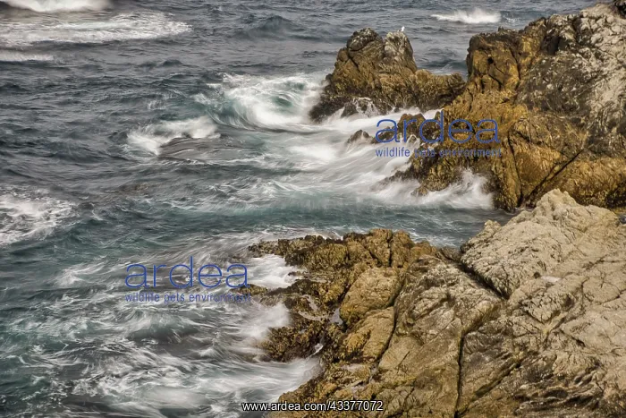 : Garapata Beach, Carmel by the Sea, California : Garapata Beach, Carmel by the Sea, California