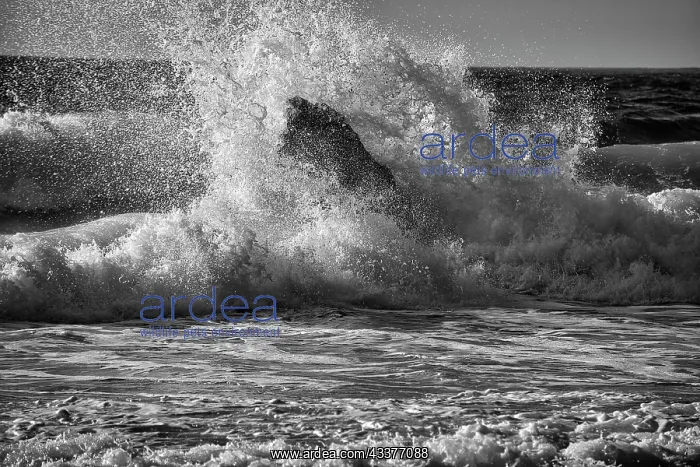 : Garapata Beach, Carmel by the Sea, California : Garapata Beach, Carmel by the Sea, California
