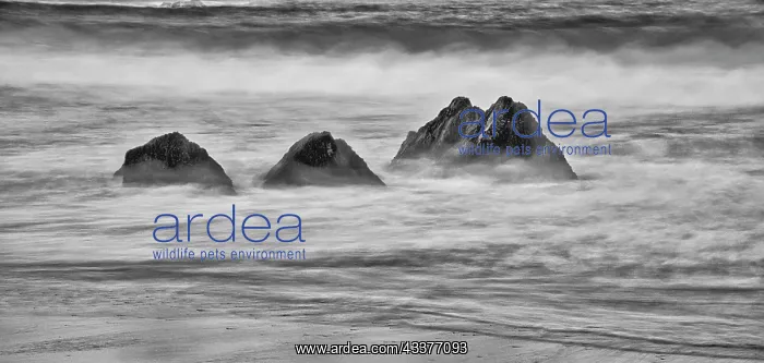 : Garapata Beach, Carmel by the Sea, California : Garapata Beach, Carmel by the Sea, California