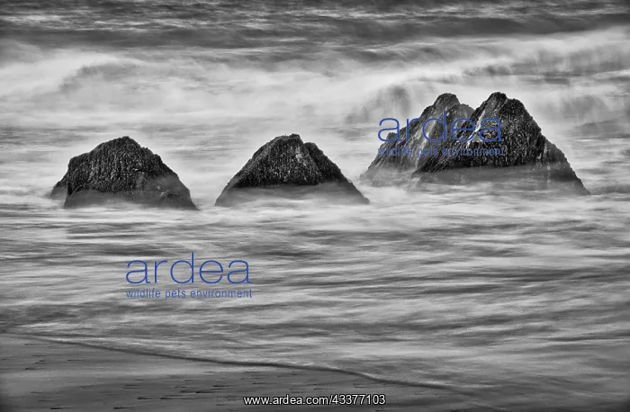 : Garapata Beach, Carmel by the Sea, California : Garapata Beach, Carmel by the Sea, California