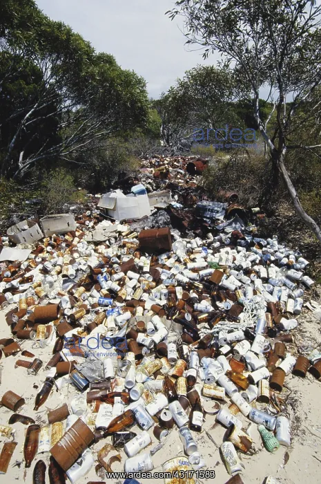 : Garbage on Australian Beach : Garbage on Australian Beach