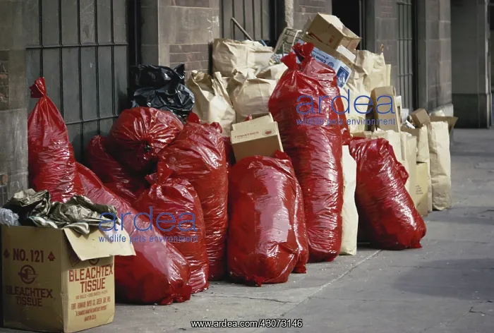 : Garbage for Collection : Garbage for Collection