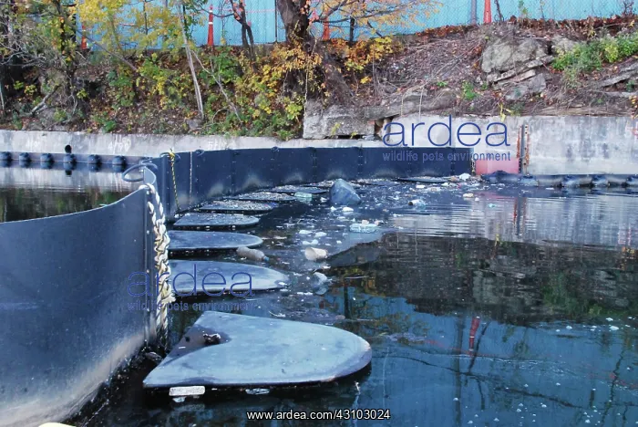 : Garbage Along Containment Boom, Newtown Creek, NYC : Garbage Along Containment Boom, Newtown Creek, NYC