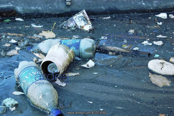 : Garbage Along Containment Boom, Newtown Creek, NYC : Garbage Along Containment Boom, Newtown Creek, NYC