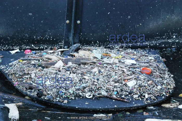 : Garbage Along Containment Boom, Newtown Creek, NYC : Garbage Along Containment Boom, Newtown Creek, NYC