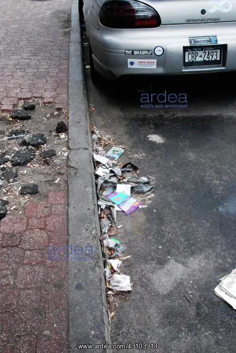 : Trash. Garbage along a curb : Trash. Garbage along a curb