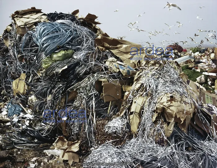 : Garbage Dump : Garbage Dump