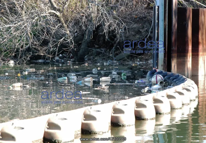 : Garbage Inside Containment Boom on Newtown Creek : Garbage Inside Containment Boom on Newtown Creek