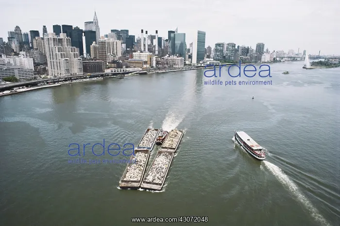 : Garbage Scow on East River : Garbage Scow on East River