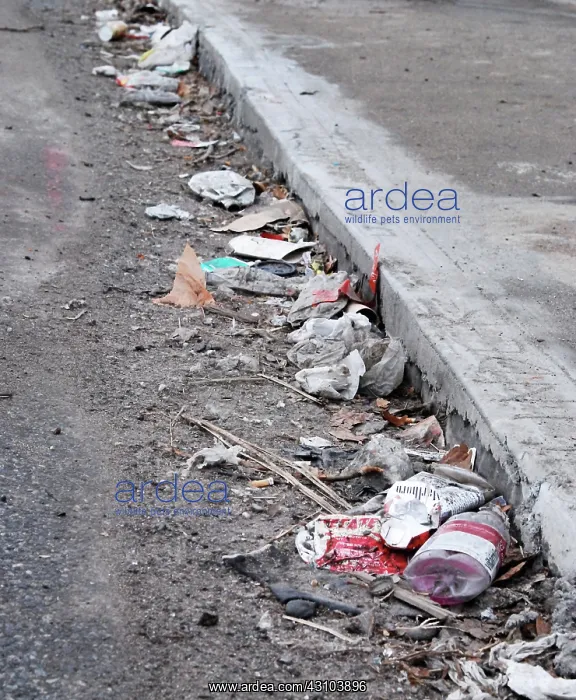: Trash. Garbage along a street : Trash. Garbage along a street