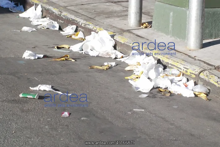 : Garbage on the street : Garbage on the street