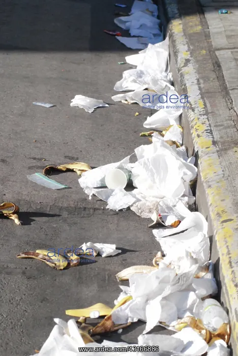 : Garbage on the street : Garbage on the street
