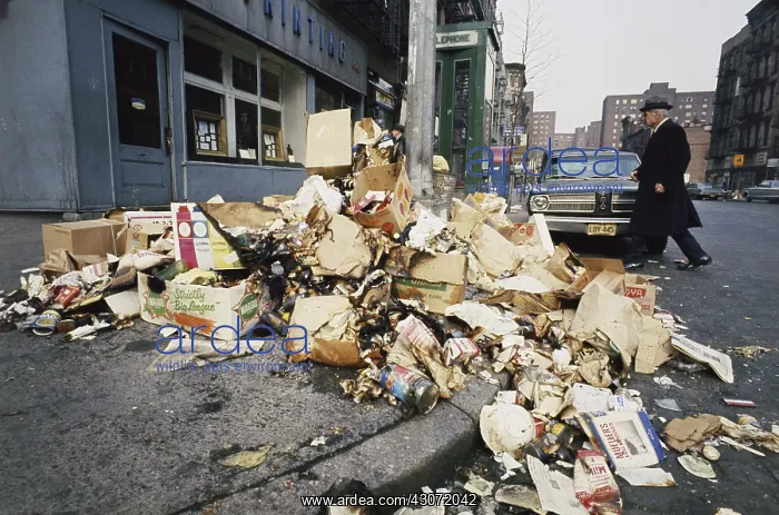: Garbage Strike in NYC : Garbage Strike in NYC