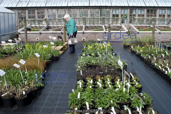 : Garden Centre : Garden Centre
