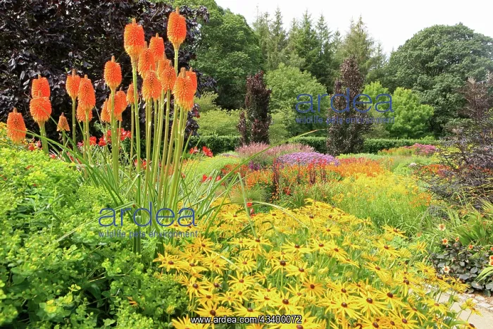: Garden Flowers : Garden Flowers