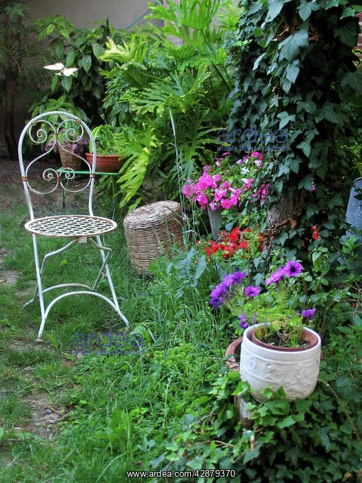 : Garden - with flowers and chair