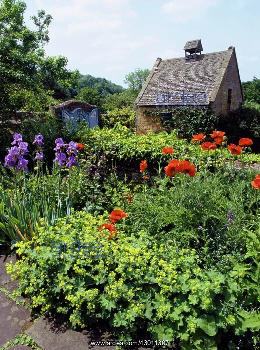 : Garden Flowers and Dovecote Snowshill Manor, Cotswolds, UK : Garden Flowers and Dovecote Snowshill Manor, Cotswolds, UK