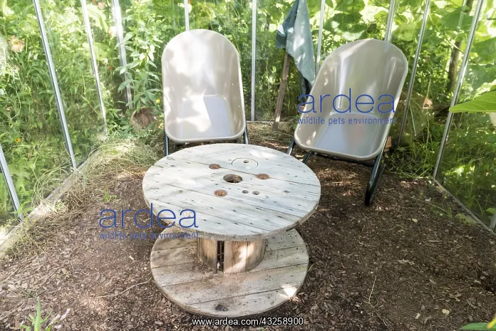 : Garden furniture in a greenhouse in summer, Moselle : Garden furniture in a greenhouse in summer, Moselle