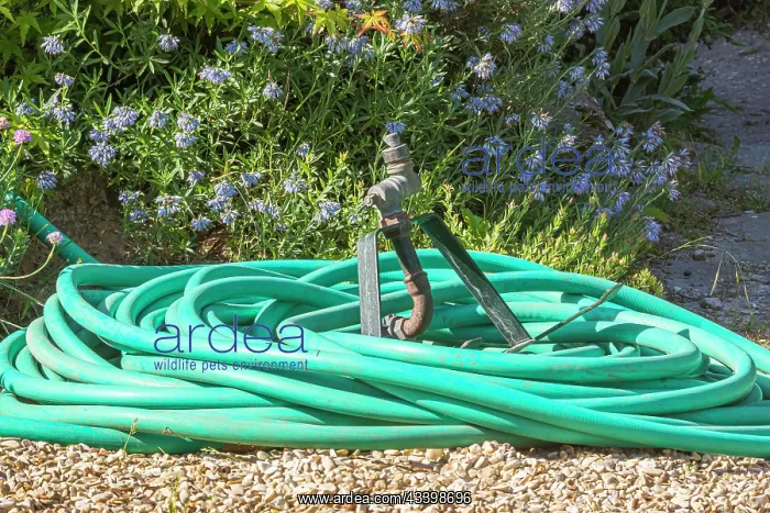 : Garden hose coiled on gravel : Garden hose coiled on gravel