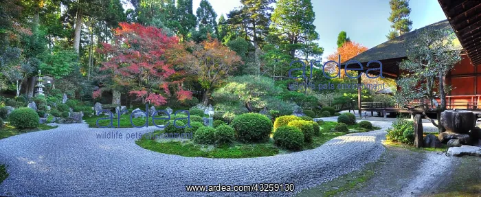 : Garden at Manshu-in temple in autumn in Ky&, x134bec; : Garden at Manshu-in temple in autumn in Ky&, x134bec;