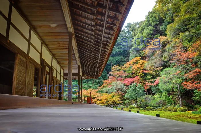 : Garden of the Nanzenin temple in autumn in Ky&, x134bec; : Garden of the Nanzenin temple in autumn in Ky&, x134bec;