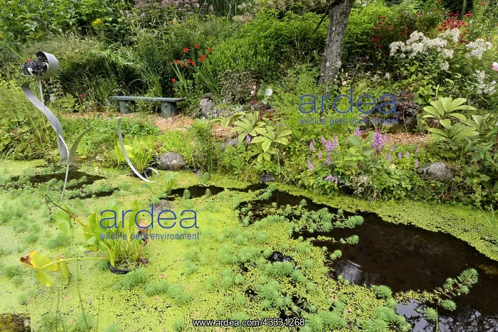 : Garden and Objects of Panr&, x9973; - Vosges France : Garden and Objects of Panr&, x9973; - Vosges France