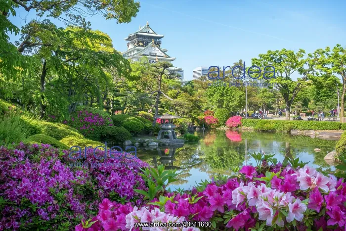 : Garden of osaka castle under ans azalea in full : Garden of osaka castle under ans azalea in full