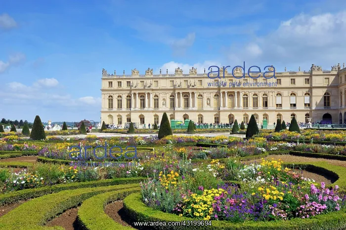 : Garden and park, Parterre du Midi, Palace of Versailles : Garden and park, Parterre du Midi, Palace of Versailles