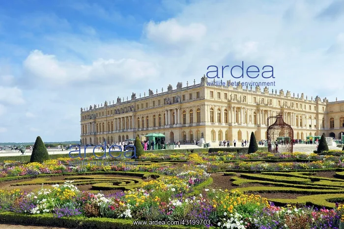 : Garden and park, Parterre du Midi, Palace of Versailles : Garden and park, Parterre du Midi, Palace of Versailles