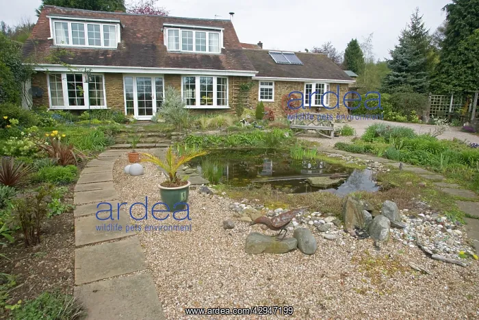  : Garden pond