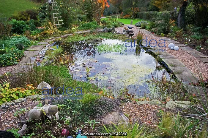: Garden Pond - large artificial pond : Garden Pond - large artificial pond