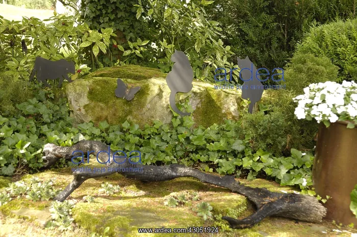 : Garden scenery in the Jardin de Pierre in Alsace France : Garden scenery in the Jardin de Pierre in Alsace France