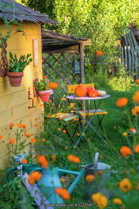  : Garden shack with seating area in july, Provence