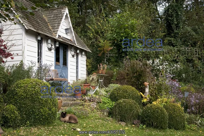 : garden shed and flowerbeds in a garden in autumn : garden shed and flowerbeds in a garden in autumn