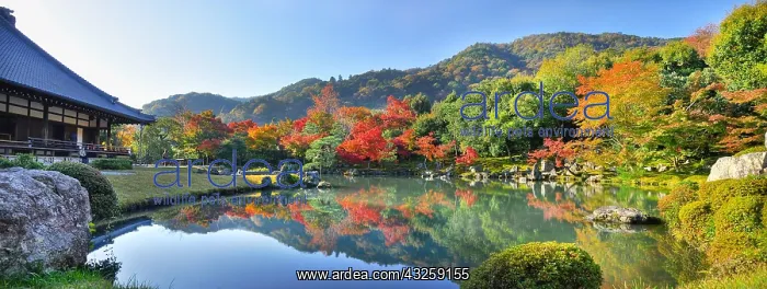 : Garden of Teryuji temple in autumn in Ky&, x134be0;Arashiyama : Garden of Teryuji temple in autumn in Ky&, x134be0;Arashiyama