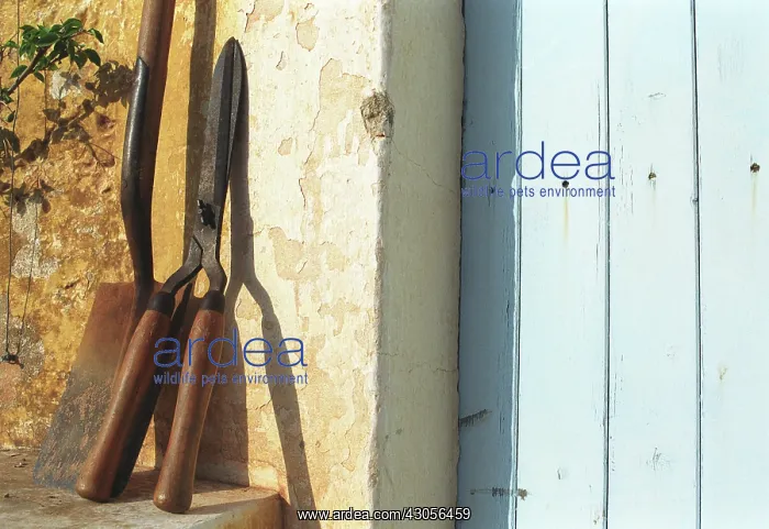 : Garden tools : Garden tools