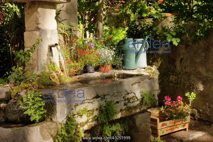 : Garden tub and wash basin at Chateau Roussan : Garden tub and wash basin at Chateau Roussan