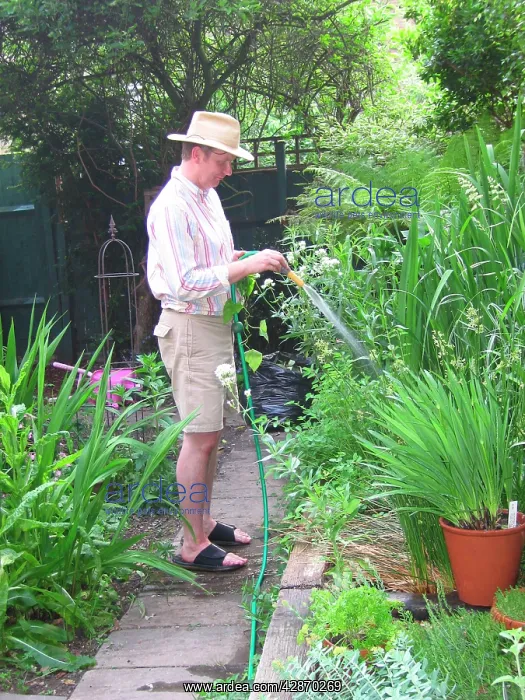  : Garden - watering garden with hose