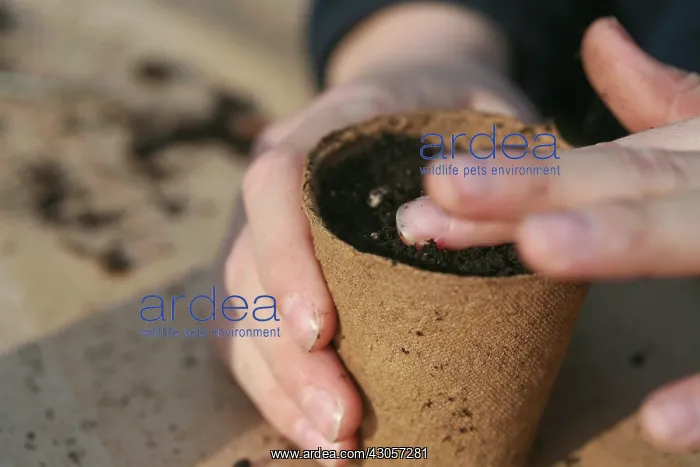 : Gardening : Gardening