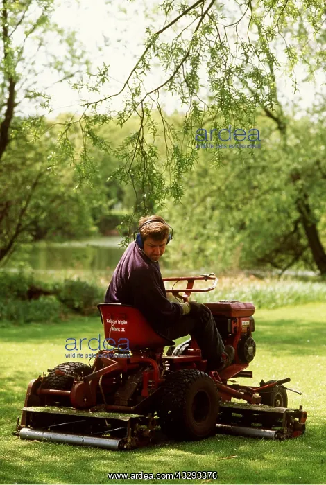 : GARDENING - Mowing grass with mini-tractor : GARDENING - Mowing grass with mini-tractor