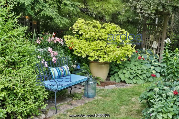 : Gardening in the Northwest : Gardening in the Northwest