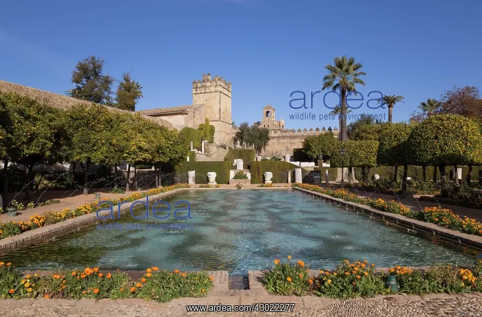 : Gardens - of the Alcazar de Los Reyes Cristianos : Gardens - of the Alcazar de Los Reyes Cristianos