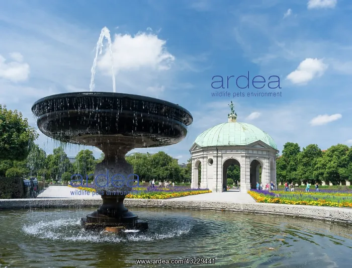 : The Gardens Hofgarten in the old center : The Gardens Hofgarten in the old center