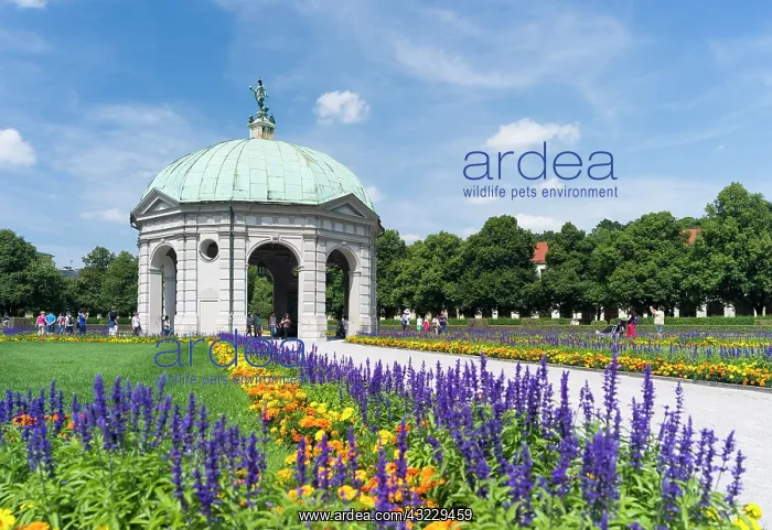  : The Gardens Hofgarten in the old center