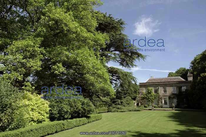  : Gardens Moor Wood House Woodmancote, near Cirencester