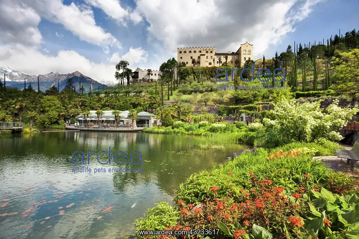  : The gardens of Schloss Trauttmansdorff
