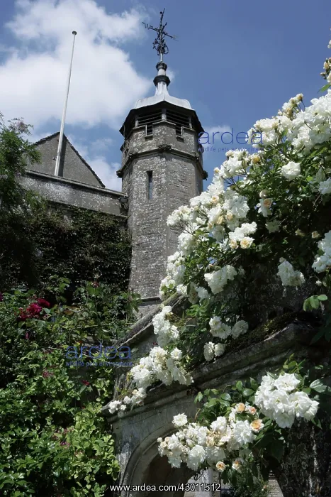 : Gardens Stowell Park, near Northleach, Gloucestershire, UK : Gardens Stowell Park, near Northleach, Gloucestershire, UK