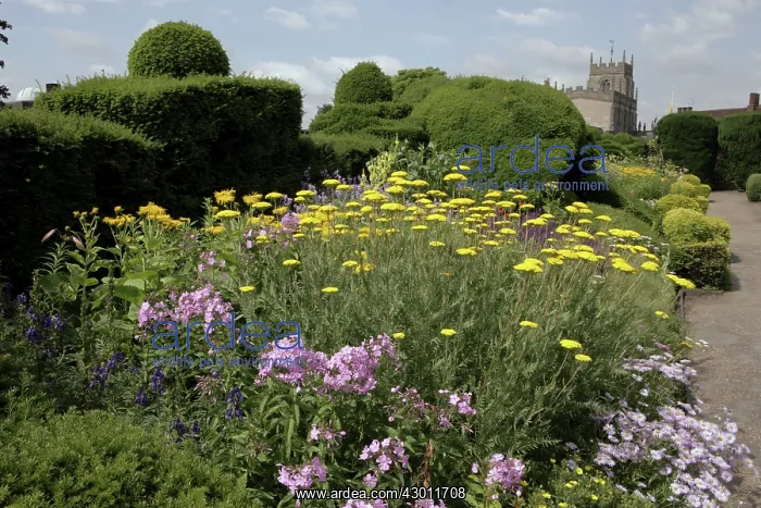 : Gardens Stratford upon Avon, near the Royal Shakespeare : Gardens Stratford upon Avon, near the Royal Shakespeare