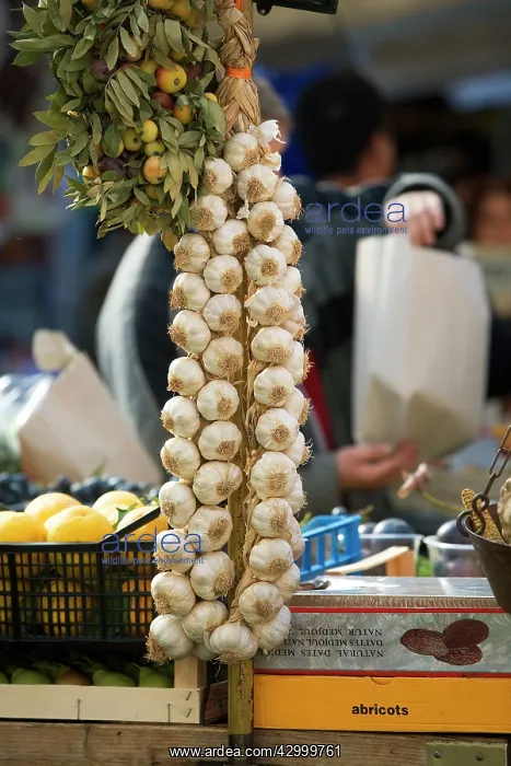 : Garlic on market stall : Garlic on market stall